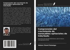 Comprensión del crecimiento de nanocables epitaxiales de InAs/GaAs - Paladugu, Mohan ¿hand