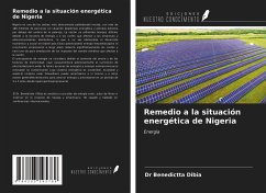 Remedio a la situación energética de Nigeria - Dibia, Benedictta