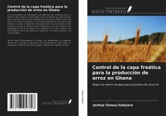 Control de la capa freática para la producción de arroz en Ghana - Owusu-Sekyere, Joshua