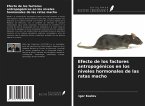 Efecto de los factores antropogénicos en los niveles hormonales de las ratas macho