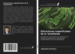 Estructuras superficiales de A. brasilense - Shirokov, Alejandro
