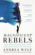Magnificent Rebels - Bild 1