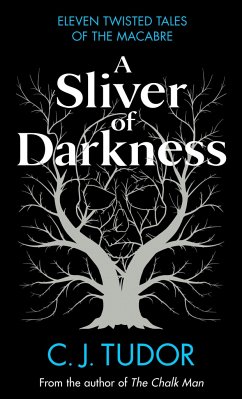 A Sliver of Darkness - Tudor, C. J.