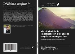 Viabilidad de la implantación del gas de esquisto en Argentina - Junger, Alex Paubel; Aguilera, Rogério Luís