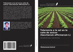 Tolerancia a la sal en la caña de azúcar (Saccharum officinarum L) - Ashraf, Muhammad