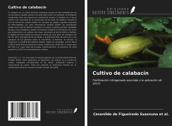 Cultivo de calabacín - Suassuna et al., Cesenildo de Figueiredo