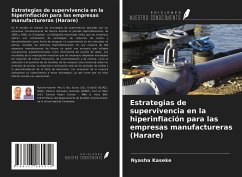 Estrategias de supervivencia en la hiperinflación para las empresas manufactureras (Harare) - Kaseke, Nyasha