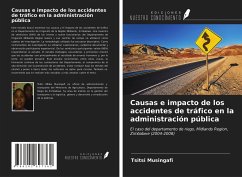 Causas e impacto de los accidentes de tráfico en la administración pública - Musingafi, Tsitsi