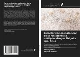Caracterización molecular de la resistencia a múltiples drogas Shigella spp. Aísla