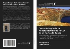 Depositología de la mineralización de Pb-Zn en el norte de Túnez - Jemmali, Nejib; Souissi, Fouad
