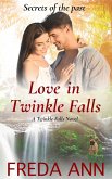 Love in Twinkle Falls (A Twinkle Falls Novel, #3) (eBook, ePUB)