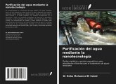 Purificación del agua mediante la nanotecnología