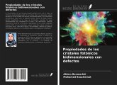 Propiedades de los cristales fotónicos bidimensionales con defectos