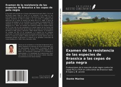 Examen de la resistencia de las especies de Brassica a las cepas de pata negra - Marino, Dante