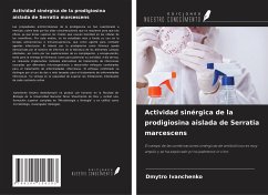 Actividad sinérgica de la prodigiosina aislada de Serratia marcescens - Ivanchenko, Dmytro