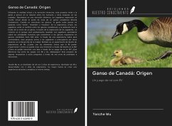 Ganso de Canadá: Origen - Wu, Yanzhe