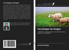 Tecnología de biogás - Mwirigi, Jecinta