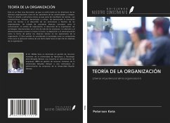 TEORÍA DE LA ORGANIZACIÓN - Keta, Peterson