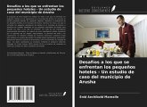 Desafíos a los que se enfrentan los pequeños hoteles - Un estudio de caso del municipio de Arusha