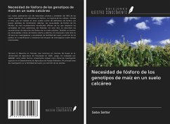 Necesidad de fósforo de los genotipos de maíz en un suelo calcáreo - Sattar, Saba