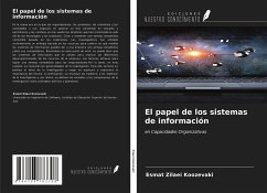 El papel de los sistemas de información - Zilaei Koozevaki, Esmat