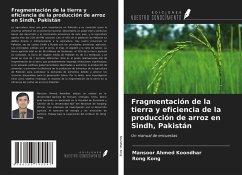 Fragmentación de la tierra y eficiencia de la producción de arroz en Sindh, Pakistán - Koondhar, Mansoor Ahmed; Kong, Rong
