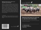 Metaloproteinasas de matriz en la reproducción del búfalo