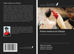 Pollos exóticos en Etiopía - Yigzaw, Mebratu; Demeke, Solomon; Hasssen, Wasihun