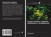 Liquen actínico: aspectos anatómicos y terapéuticos