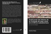 Explicación del dilema de la vivienda de bajo coste en el África subsahariana