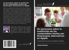 Un panorama sobre la sustitución de los combustibles fósiles por bioenergías alternativas en Egipto - Rehan, Ahmed