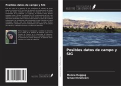 Posibles datos de campo y SIG - Haggag, Menna; Ibraheem, Ismael