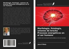Morfología, fisiología, uniones de brecha Procesos energéticos en el ser humano - O'Daly, Jose
