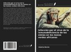 Infección por el virus de la inmunodeficiencia de los simios en los monos verdes africanos
