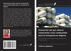 Evaluación del gas natural comprimido como combustible para el transporte en Nigeria - Igbojionu, Anthony