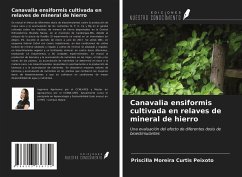 Canavalia ensiformis cultivada en relaves de mineral de hierro - Peixoto, Priscilla Moreira Curtis
