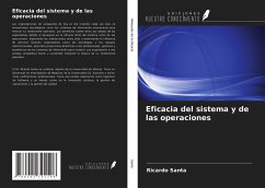 Eficacia del sistema y de las operaciones - Santa, Ricardo