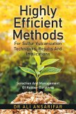 Highly Efficient Methods for Sulfur Vulcanization Techniques, Results and Implications