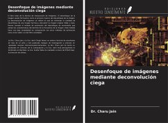 Desenfoque de imágenes mediante deconvolución ciega - Jain, Charu; Chugh, Aarti; Yadav, Sudha