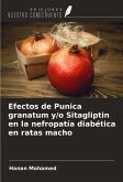 Efectos de Punica granatum y/o Sitagliptin en la nefropatía diabética en ratas macho