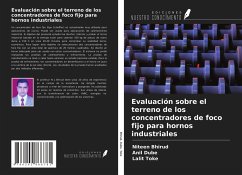 Evaluación sobre el terreno de los concentradores de foco fijo para hornos industriales - Bhirud, Niteen; Dube, Anil; Toke, Lalit