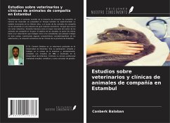 Cover Estudios sobre veterinarios y clínicas de animales de compañía en Estambul
