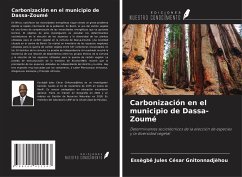 Carbonización en el municipio de Dassa-Zoumé - Gnitonnadjèhou, Essègbê Jules César