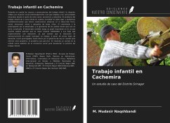 Trabajo infantil en Cachemira - Naqshbandi, M. Mudasir