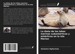 La dieta de los lobos marinos subantárticos y antárticos en la isla Marion - Mgibantaka, Nonkoliso