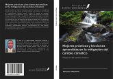 Mejores prácticas y lecciones aprendidas en la mitigación del cambio climático