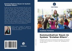 Kommunikativer Raum im System 