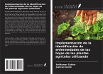 Implementación de la identificación de enfermedades de las hojas de las plantas agrícolas utilizando