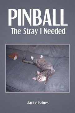 Pinball: The Stray I Needed - Haines, Jackie