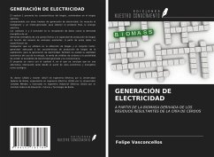 GENERACIÓN DE ELECTRICIDAD - Vasconcellos, Felipe